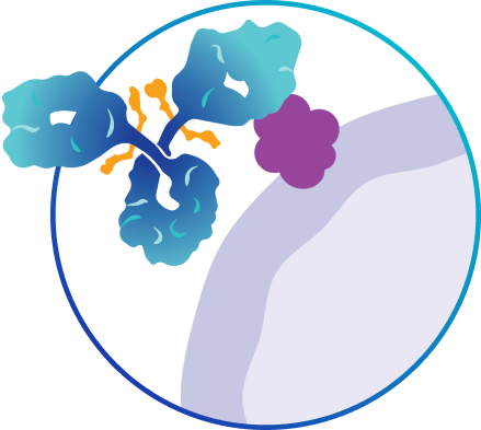 What is DATROWAY® (datopotamab deruxtecan-dlnk)?