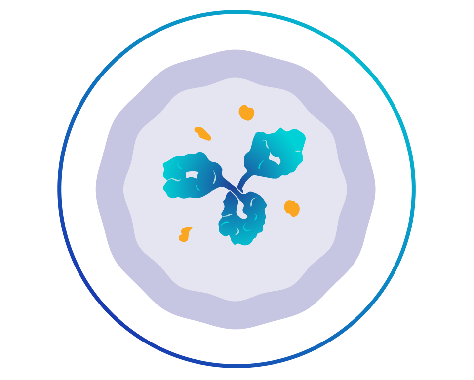 An illustration of DATROWAY in a cancer cell releasing the drug.