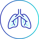 Lungs icon